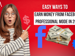 Earn Money from Facebook Professional Mode in 2025